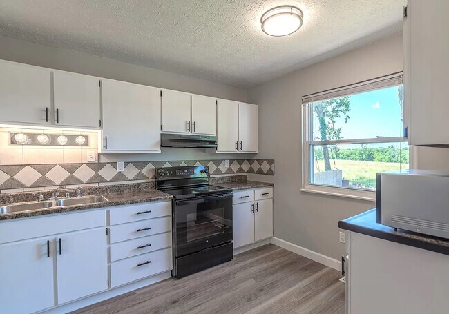 Photo - 1047 Alpine Ct House