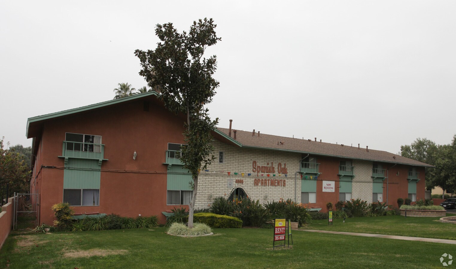 Photo - Spanish Oaks