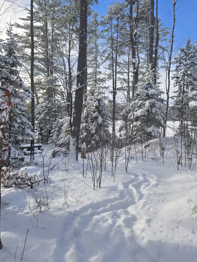 Photo - 162 Lancaster Rd Unit 162 B