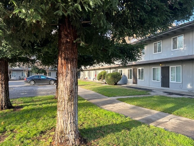 Photo - The Loft Apartments