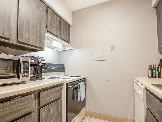 Dishwasher, Oven, and Hood Vent