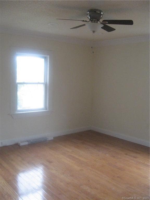 Photo - 44 Colony St