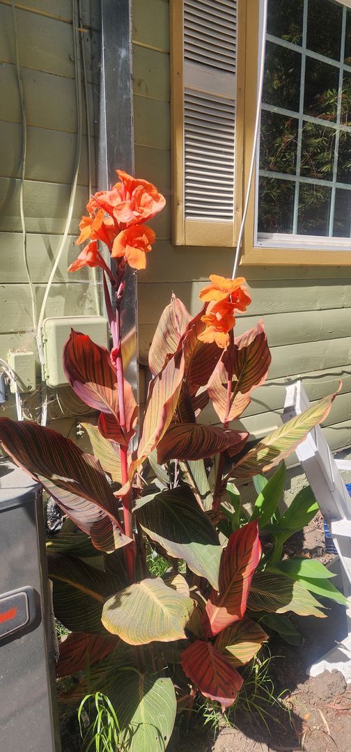 Photo - SLO Tropical Private Bungalow ideally located close to Cal Poly!