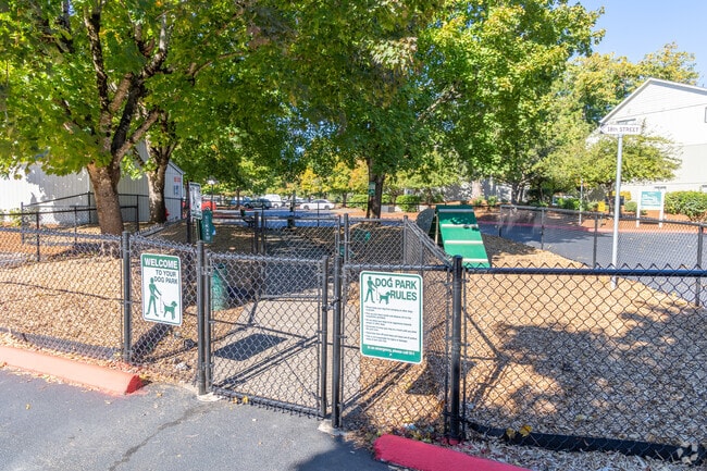 Dog Park