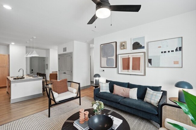 Photo - Bluebird on Seventy