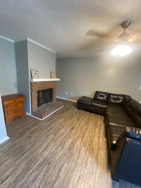 161 Kim Chase Rd
