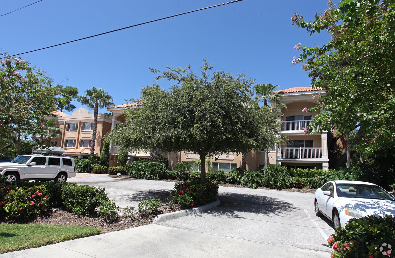 Photo - Whispering Oaks