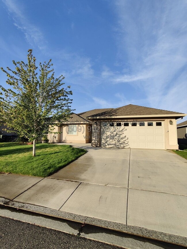 2667 Torrey Pines Way