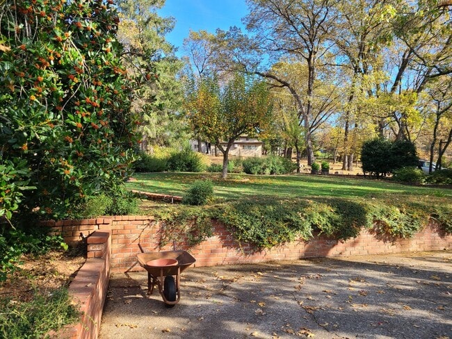 Photo - Meadow Vista Dream with bonus room!