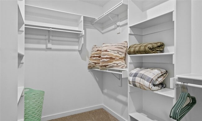 Building Photo - 43 St Austell Dr