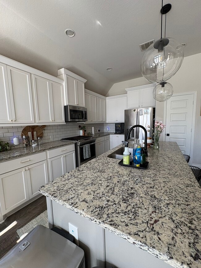 Photo - 2231 Blackhawk Ridge Ln