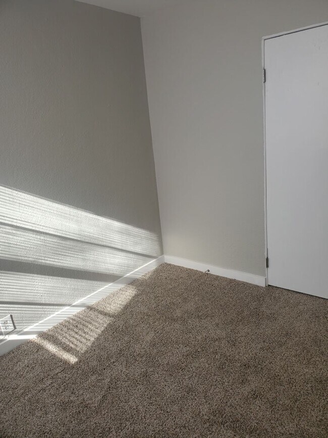 Photo - Nice Sized Yard