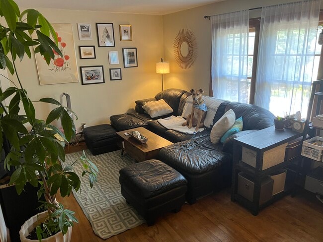 Building Photo - 365 Flynn Ave Unit 365 Flynn #2 Rental