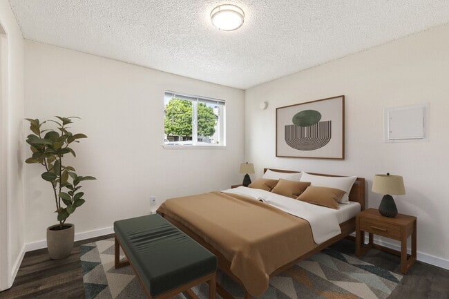 Photo - Arise Bellingham