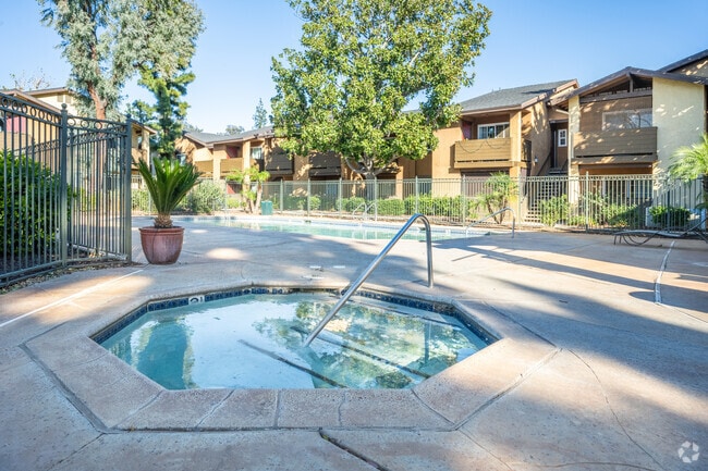 Pool and Spa