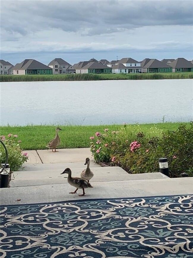 Photo - 789 Pelican Bay Dr
