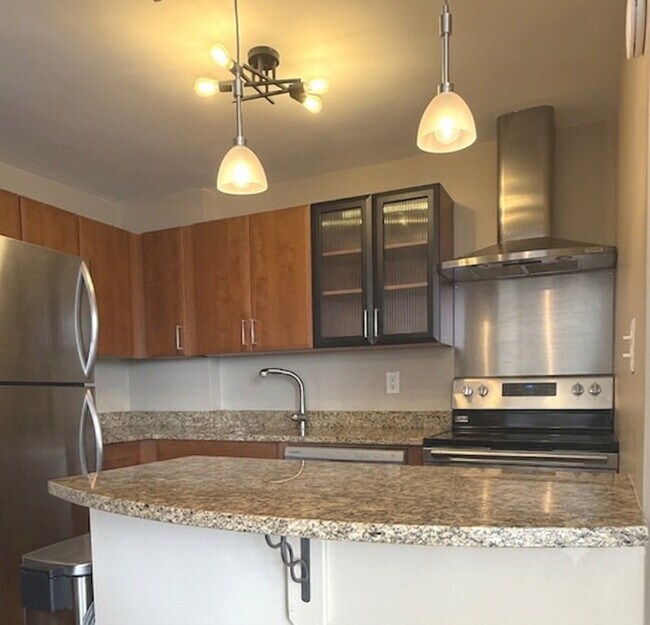 Photo - 1355 N Sandburg Terrace