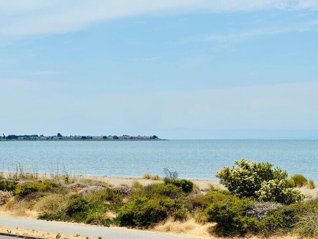 Photo - Incredible Luxury Beach House with Views, Steps to the Ocean in Alameda