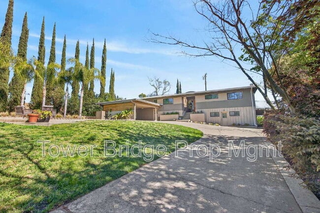 3937 Orangewood Dr