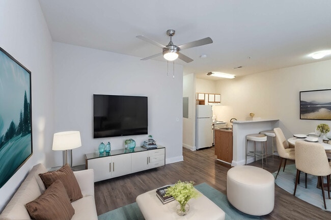 Photo - Ashbury Square Apartments