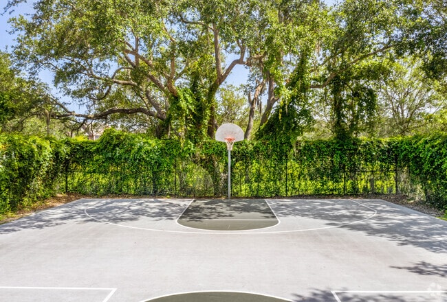 Cancha de básquetbol