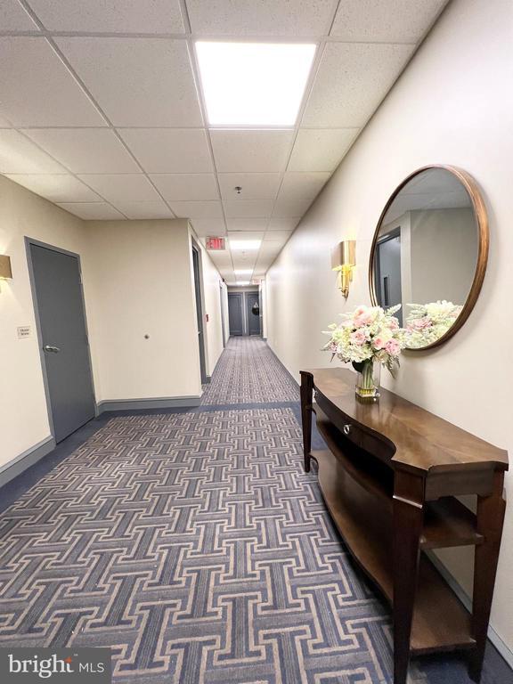 Building Photo - 1811 Chestnut St Unit 207