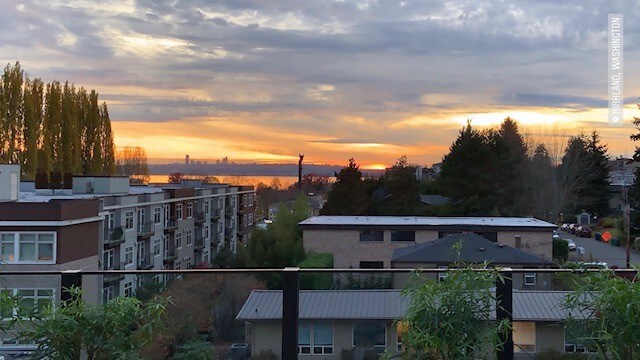 Plaza Apartments