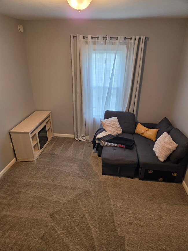 Living - 276 Parkway Unit Downstairs