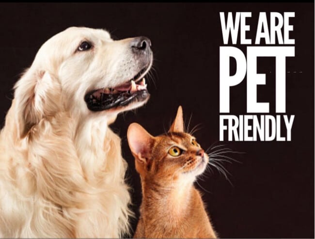 Photo - 5107 S Clarice Ct