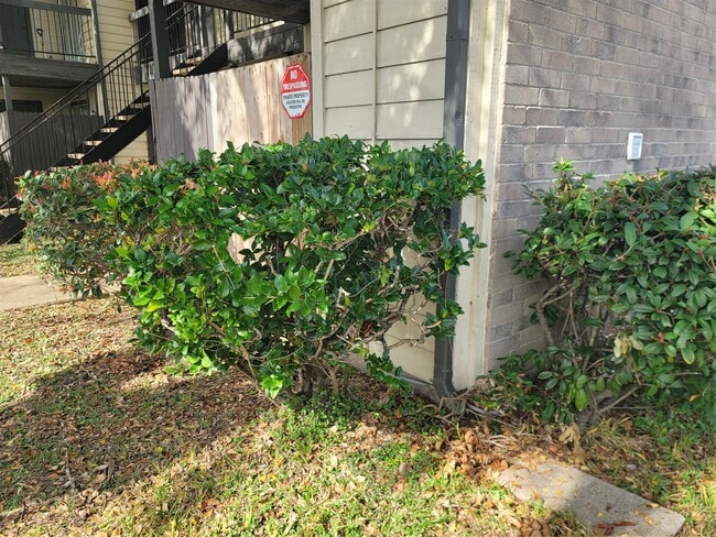 Photo - 12615 Brookglade Cir Unit 409