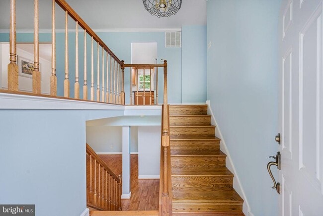 Photo - 11821 Sinclair Ln