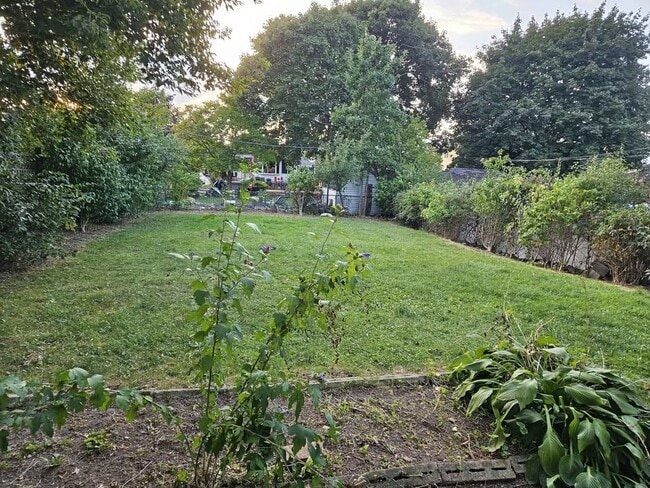 Photo - Bright & Comfortable Apartment (2 Bed, 1 B... Unit BSMT