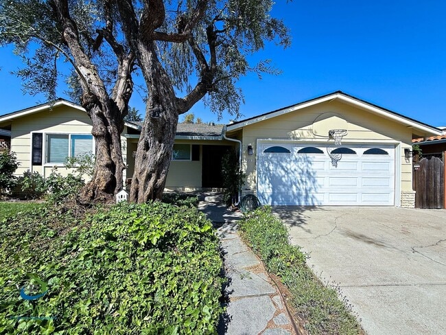 Building Photo - $5295 - Beautiful 4 Bed/2 Ba Cambrian Park Home Available Now!