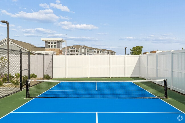 Pickleball Court