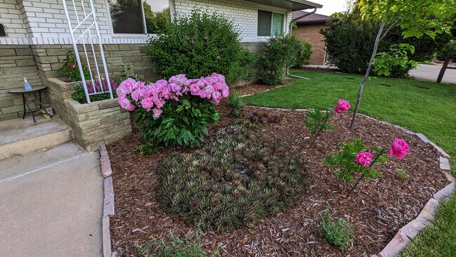 Photo - 2441 Mathews St