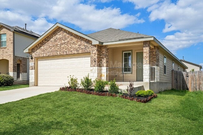 Photo - 15419 Puffins