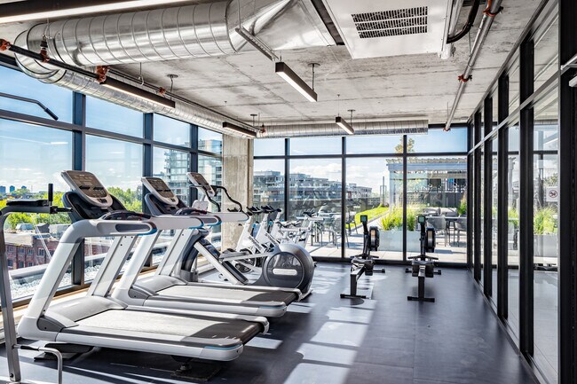 Photo - Will & Rich - Griffintown Apartments for rent