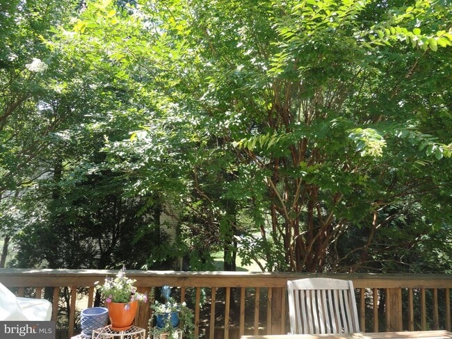 Photo - 2050 Meadow Springs Dr