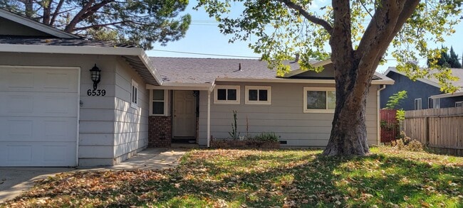 Photo - South Redding Cutie Near Westwood Village ...