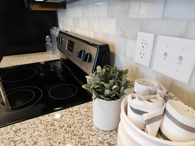 Rhine Loft Kitchen Stove and Carerra Backsplash - Newberry Lofts on 6th