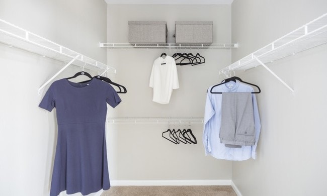 Sophisticated walk-in closet
