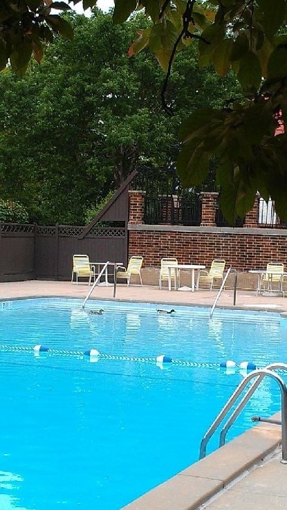 Photo - 475 Plum Creek Dr Unit Plum Creek