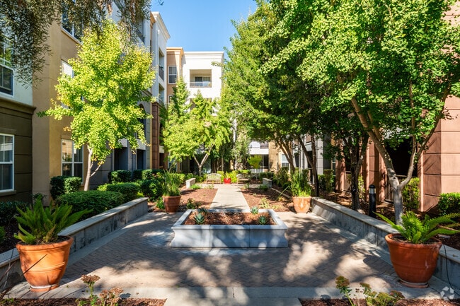 Courtyards