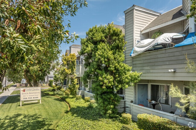 Jardines de orquídeas - Orchid Gardens