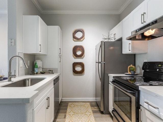 Renovated Kitchen - Avana Eastlake