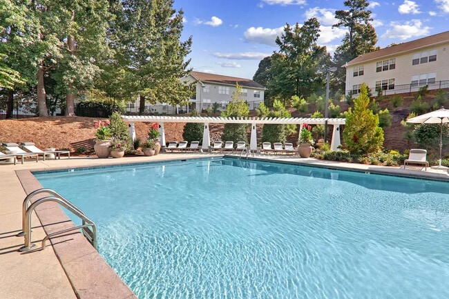 Resort- Style Swimming Pool with sun shelf