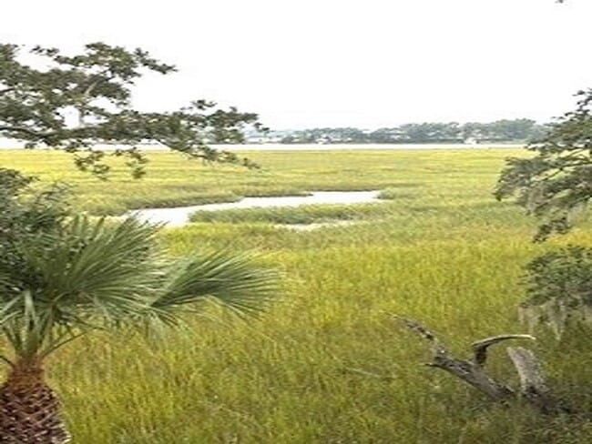 Photo - Broad Creek Landing