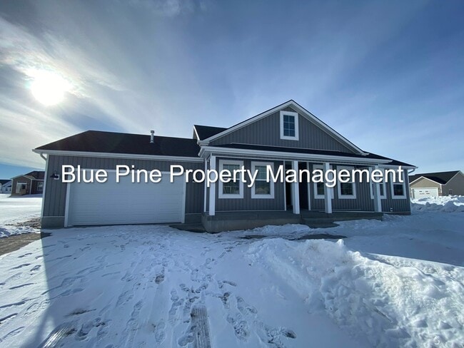 Building Photo - 4331 Catalina Ave