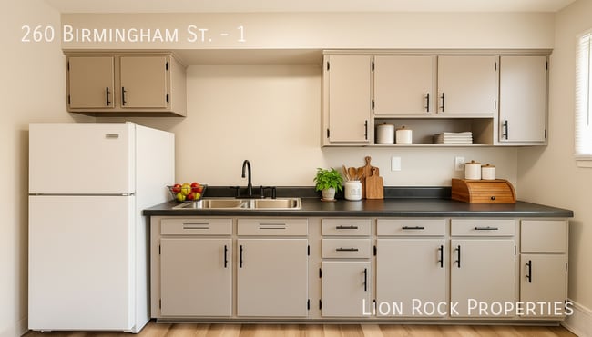 Photo - 260 Birmingham St Unit 1
