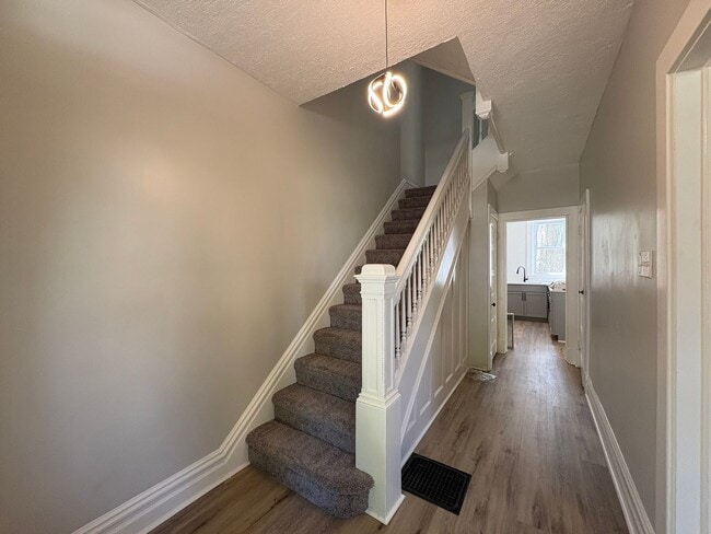 Photo - Huge Newly Renovated 4 Bedroom/2 Bath House in Bellevue!